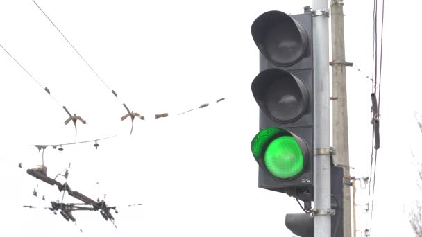 Traffic light on the road regulates traffic — Stock Video