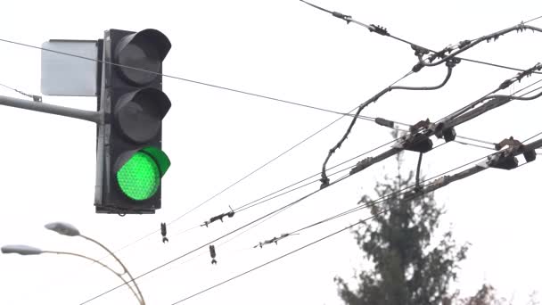 Semáforo en la carretera regula el tráfico — Vídeos de Stock