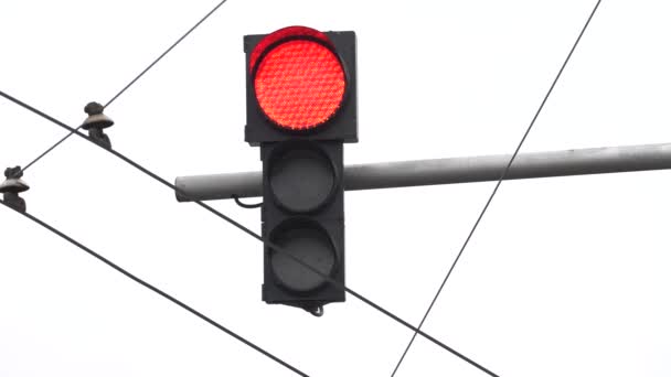 Traffic light on the road regulates traffic — Stock Video