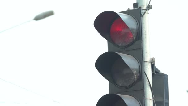 Semáforo en la carretera regula el tráfico — Vídeos de Stock