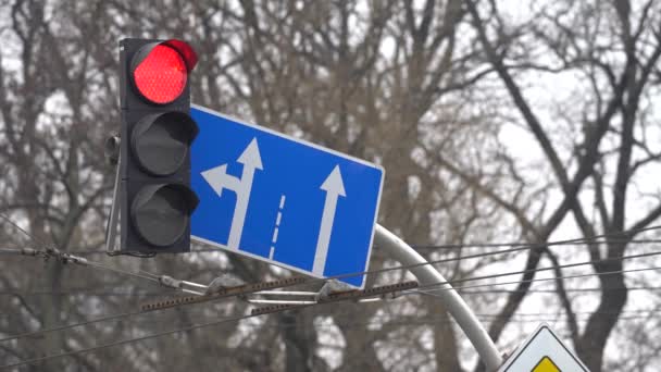 道路上の交通信号は交通を規制する — ストック動画
