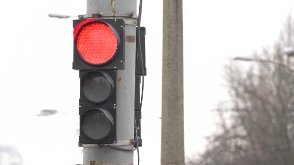 Semaforo sulla strada regola il traffico — Video Stock