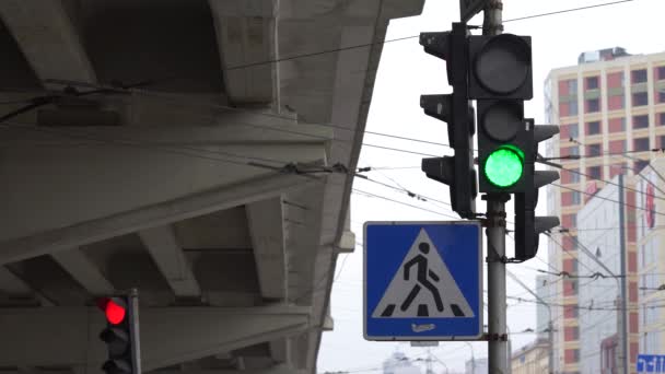 Ampel auf der Straße regelt den Verkehr — Stockvideo