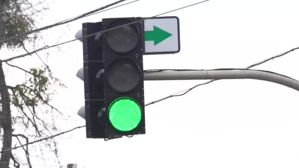 Ampel auf der Straße regelt den Verkehr — Stockvideo