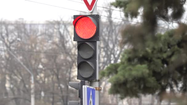 Verkeerslichten op de weg regelen het verkeer — Stockvideo