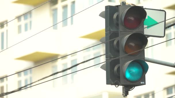 Traffic light on the road regulates traffic — Stock Video