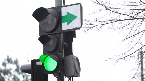 Semáforo en la carretera regula el tráfico — Vídeo de stock