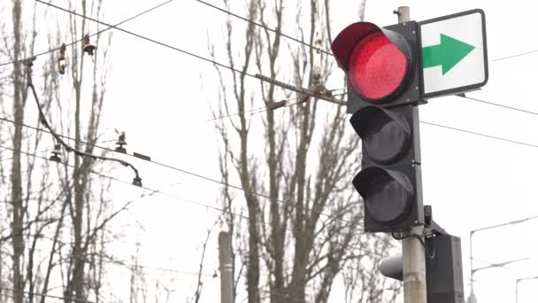 Lampu lalu lintas di jalan mengatur lalu lintas — Stok Video