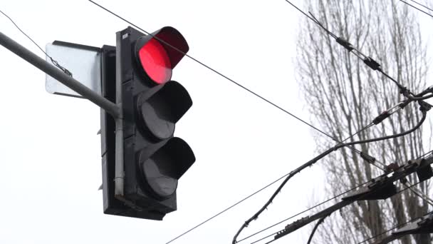 O semáforo na estrada regula o tráfego — Vídeo de Stock