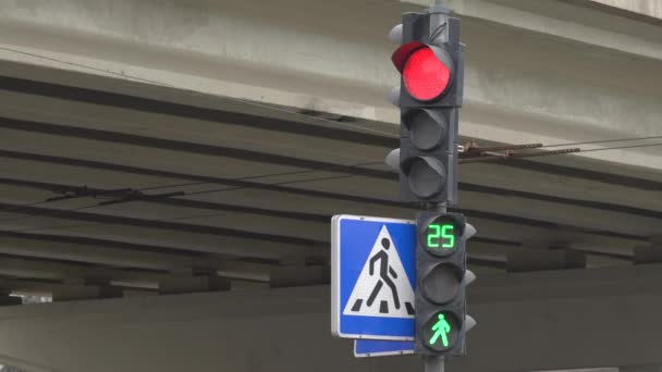 Semáforo en la carretera regula el tráfico — Vídeo de stock