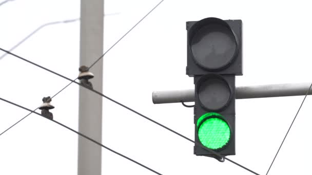 O semáforo na estrada regula o tráfego — Vídeo de Stock