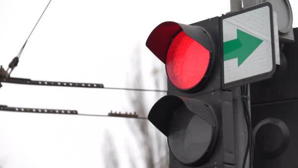 Traffic light on the road regulates traffic — Stock Video