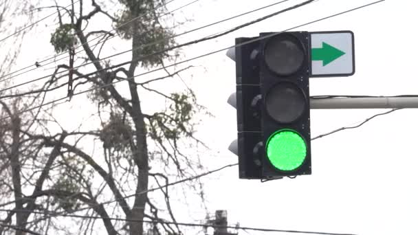 Semáforo en la carretera regula el tráfico — Vídeos de Stock