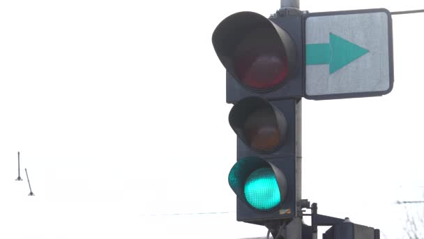 Traffic light on the road regulates traffic — Stock Video