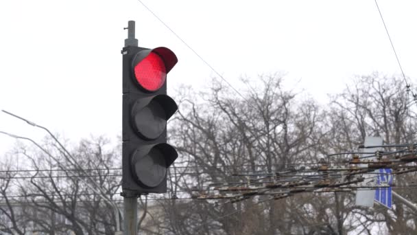 A közúti közlekedési lámpa szabályozza a forgalmat. — Stock videók