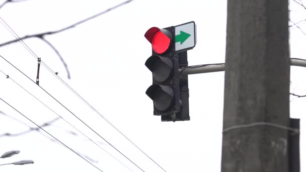 Verkeerslichten op de weg regelen het verkeer — Stockvideo