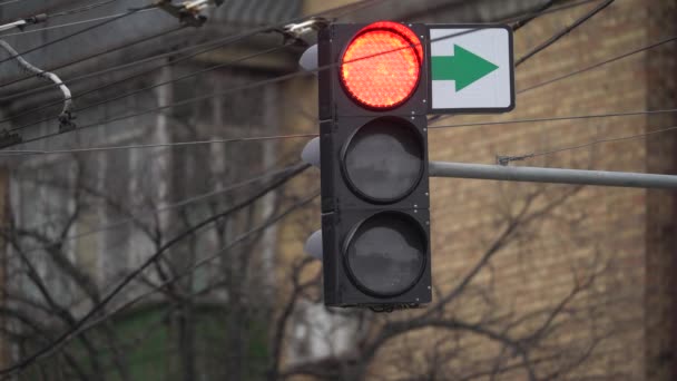 Trafikljus på vägen reglerar trafiken — Stockvideo