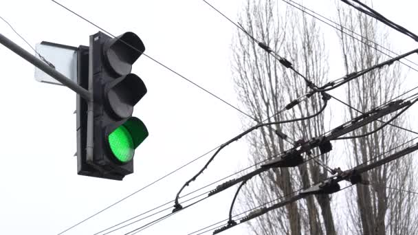 Trafikljus på vägen reglerar trafiken — Stockvideo