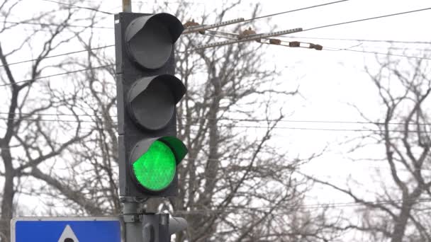 Trafikljus på vägen reglerar trafiken — Stockvideo