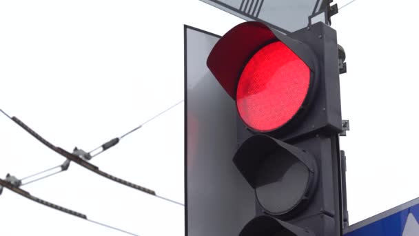 Traffic light on the road regulates traffic — Stock Video