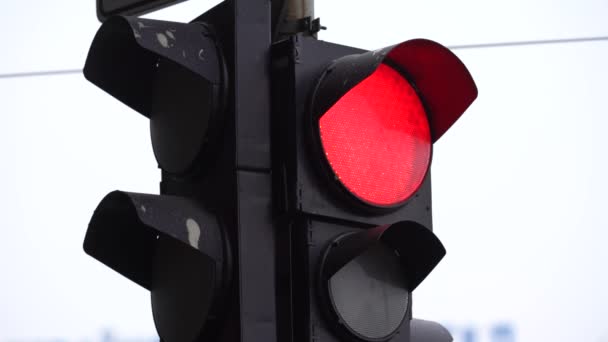 Ampel auf der Straße regelt den Verkehr — Stockvideo