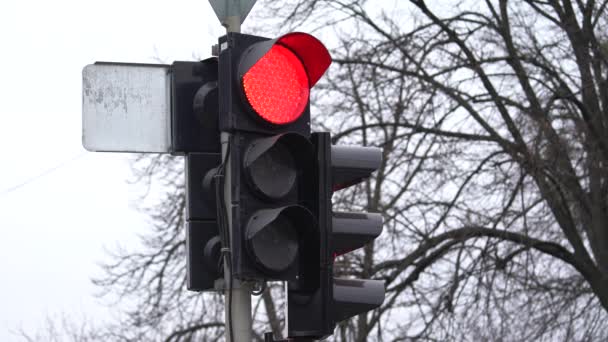 Світлофор на дорозі регулює рух — стокове відео