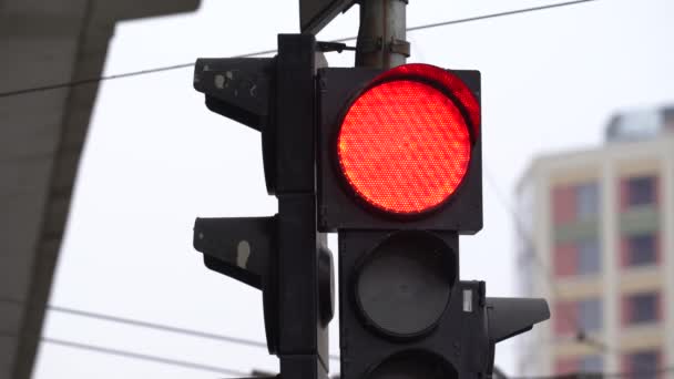 Trafikljus på vägen reglerar trafiken — Stockvideo