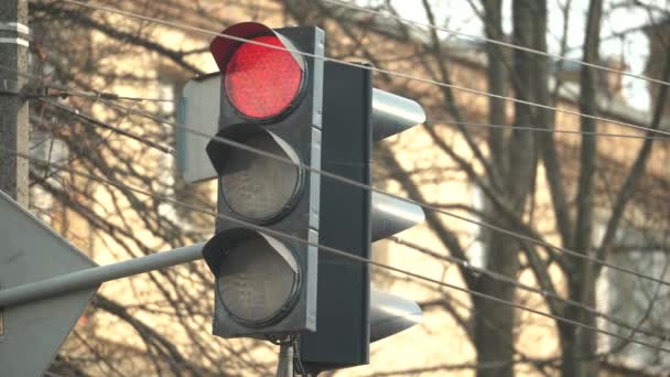 Trafikljus på vägen reglerar trafiken — Stockvideo