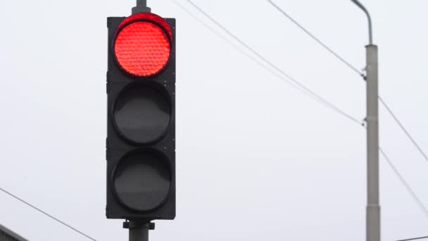 Trafikljus på vägen reglerar trafiken — Stockvideo