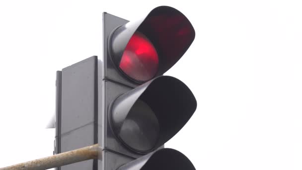 Traffic light on the road regulates traffic — Stock Video