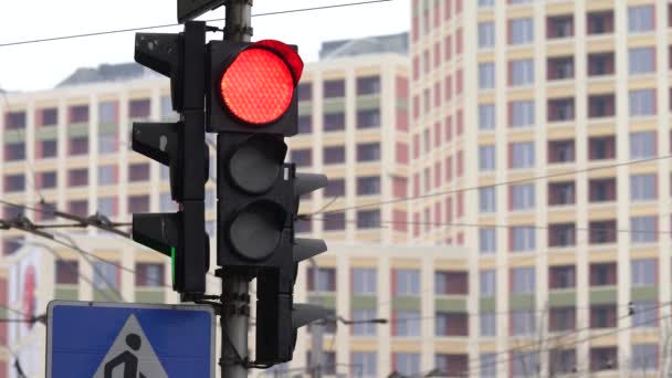 Yoldaki trafik ışığı trafiği düzenler — Stok video
