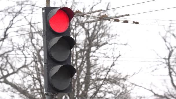 Trafikljus på vägen reglerar trafiken — Stockvideo