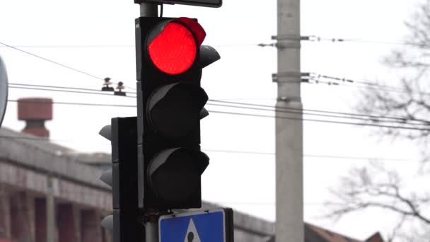 Semáforo en la carretera regula el tráfico — Vídeo de stock