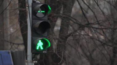 Yaya trafik lambası gündüz şehir caddesinde