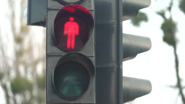 Yaya trafik lambası gündüz şehir caddesinde