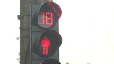 Yaya trafik lambası gündüz şehir caddesinde