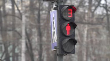 Yaya trafik lambası gündüz şehir caddesinde