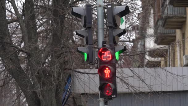 Gångtrafikljus på en stadsgata om dagen — Stockvideo