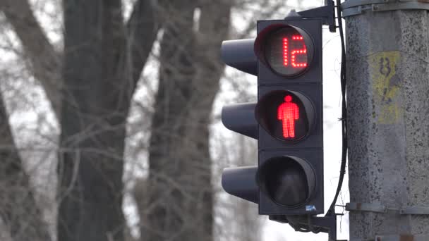 Pedestrian traffic light on a city street by day — Stock Video