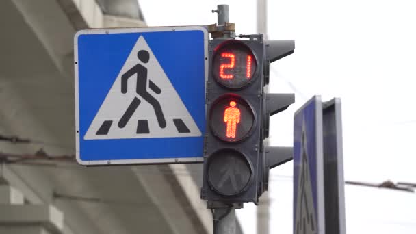 Yaya trafik lambası gündüz şehir caddesinde — Stok video