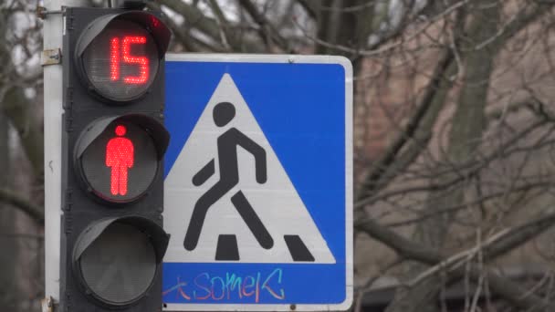 Pedestrian traffic light on a city street by day — Stock Video