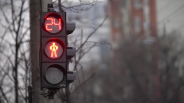 Yaya trafik lambası gündüz şehir caddesinde