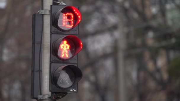 Voetgangers verkeerslicht op een straat in de stad overdag — Stockvideo