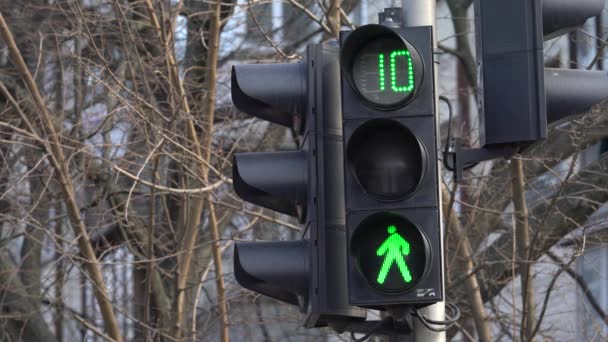 Pedestrian traffic light on a city street by day — Stock Video