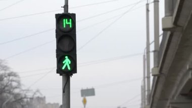 Yaya trafik lambası gündüz şehir caddesinde