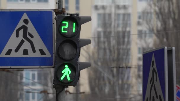 Voetgangers verkeerslicht op een straat in de stad overdag — Stockvideo