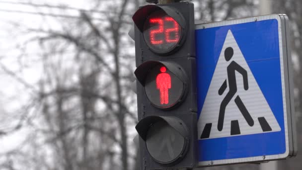 Pedestrian traffic light on a city street by day — Stock Video