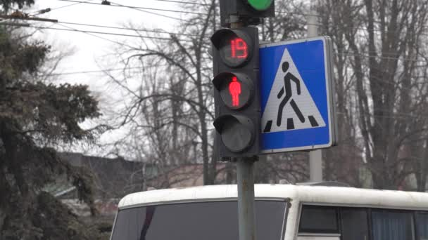 도시의 거리를 비추고 있는 보행자의 교통 신호등 — 비디오