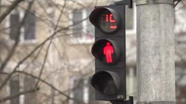 Yaya trafik lambası gündüz şehir caddesinde