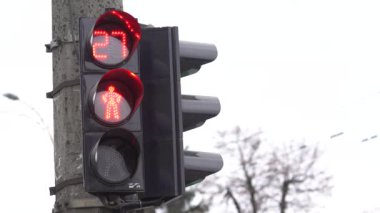 Yaya trafik lambası gündüz şehir caddesinde